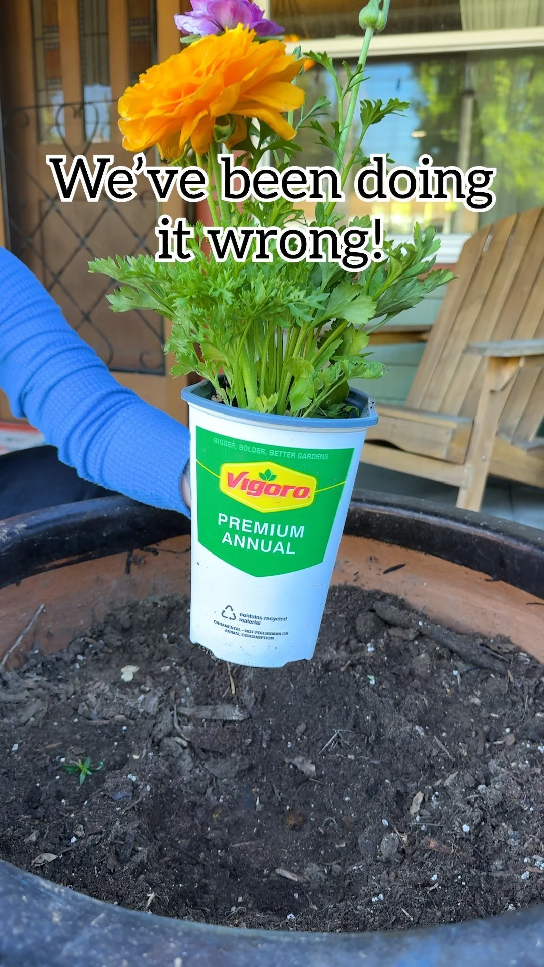 A gardener planting colorful flowers with ideal spacing for growth.
