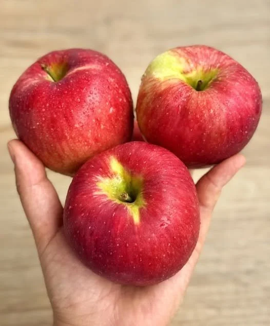 A fresh apple representing health benefits of eating apples regularly.