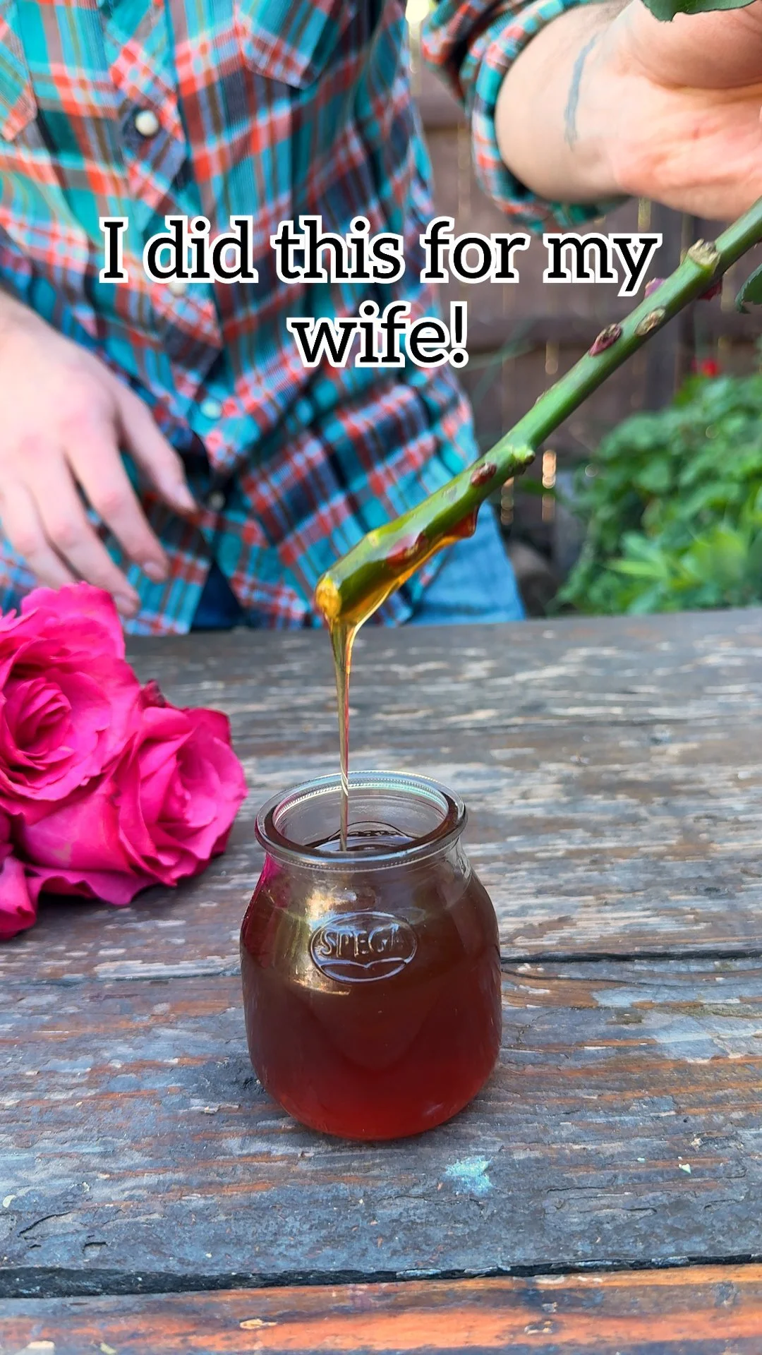 Step-by-step guide on how to propagate store-bought roses for home gardening.