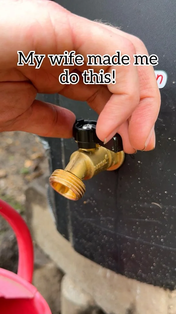 Inexpensive DIY rain barrel for garden water conservation