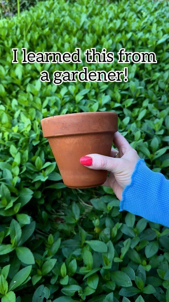 Smart home gardening tips for flowers and plant maintenance.