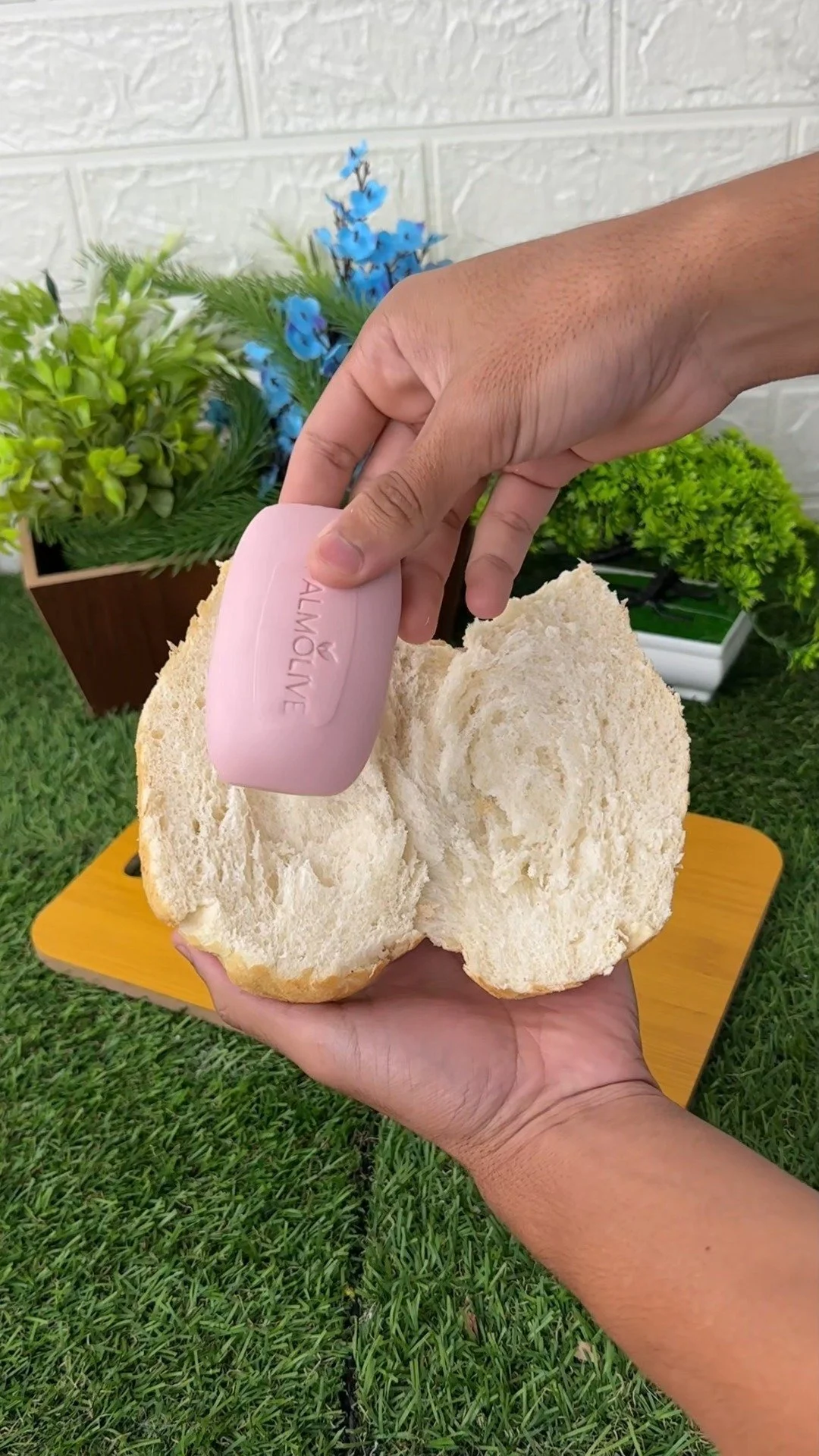 Soap and bread used as a natural method to repel pests effectively.