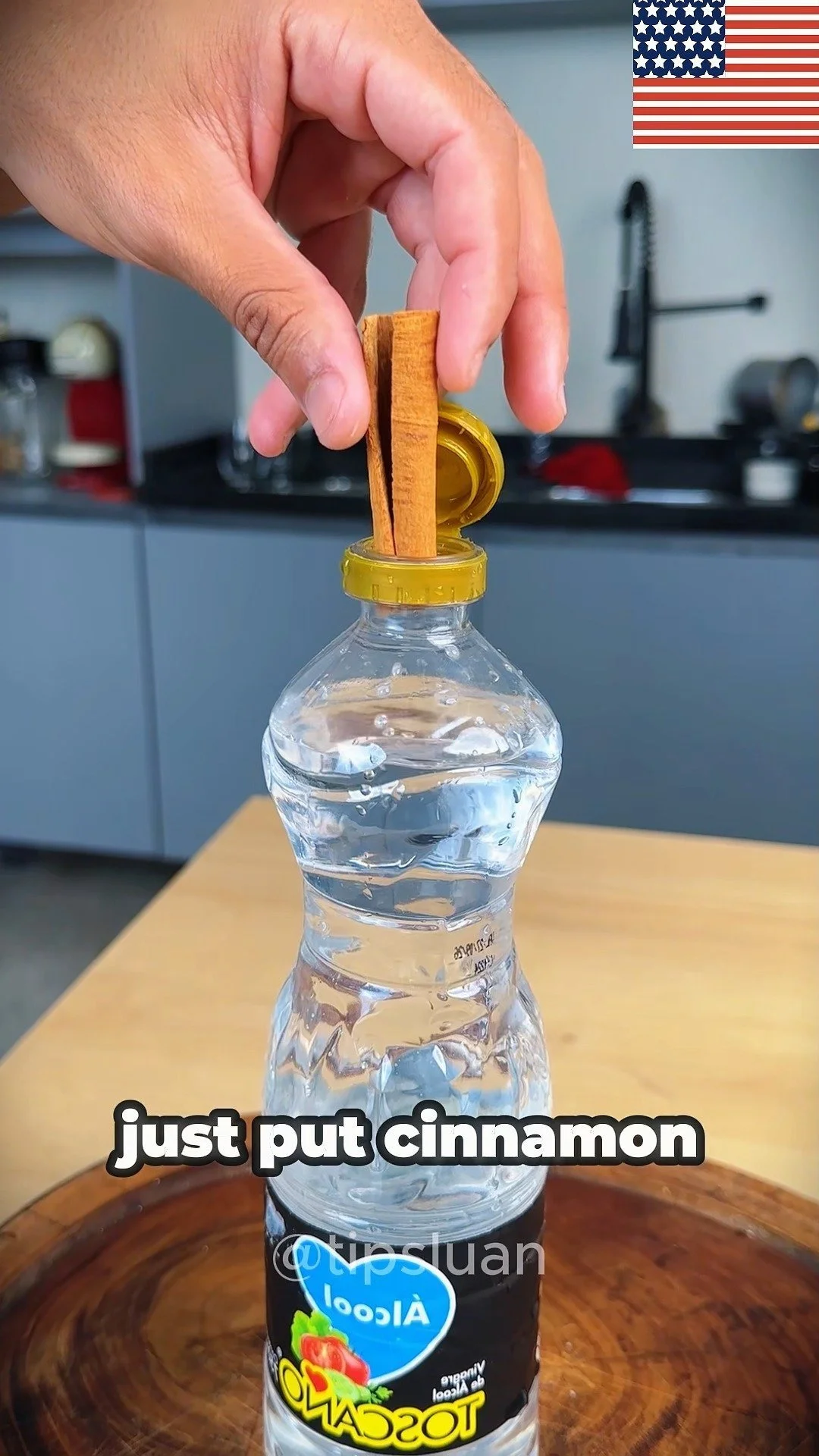 Vinegar-soaked cinnamon sticks for flavor and problem-solving