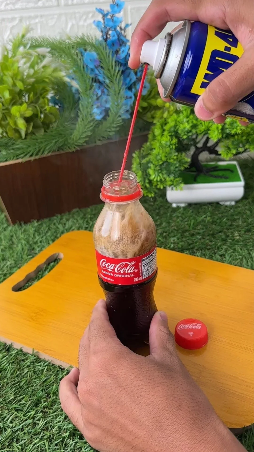 A can of Coca-Cola next to a can of WD-40 highlighting their incompatible uses.